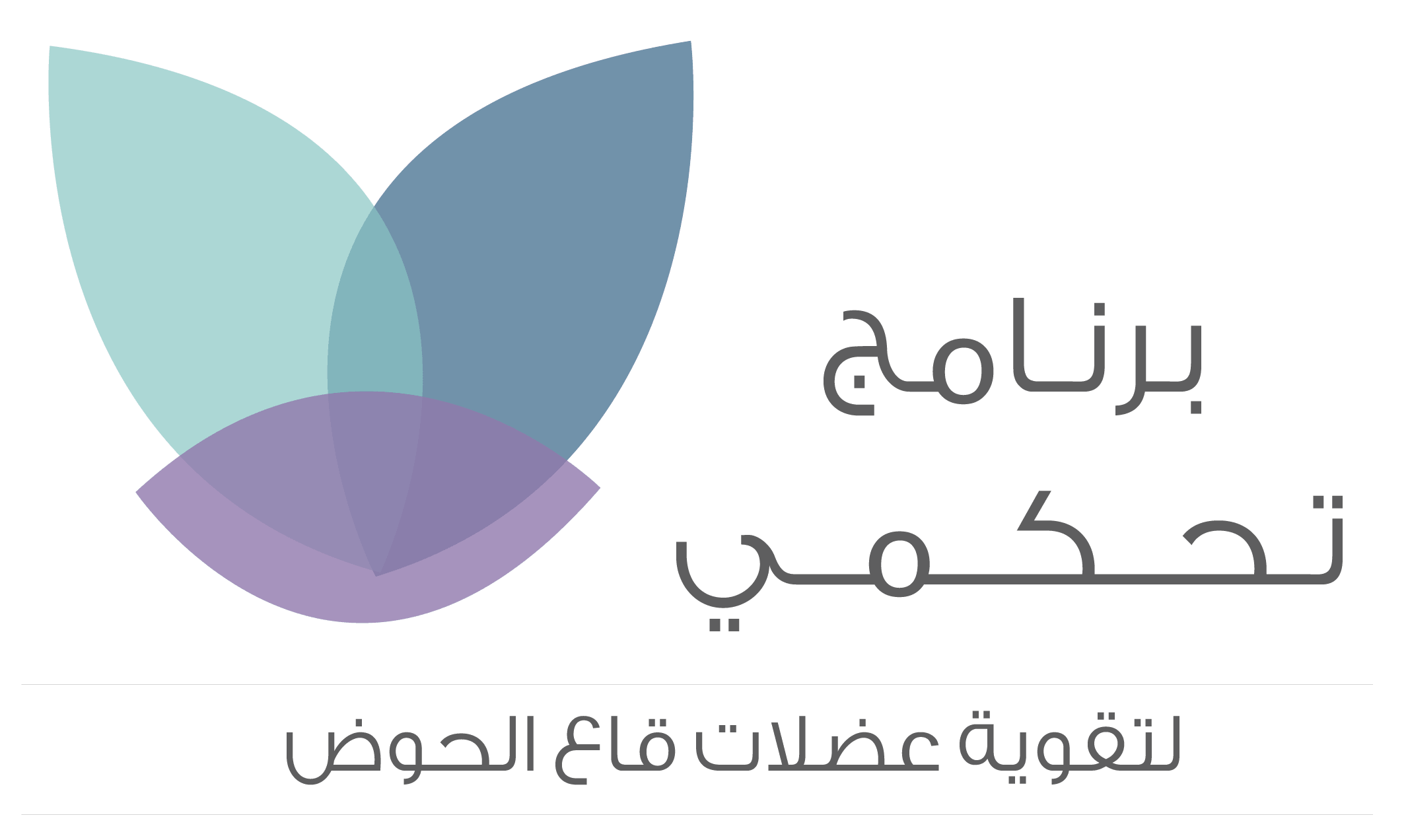 برنامج تحكمي
